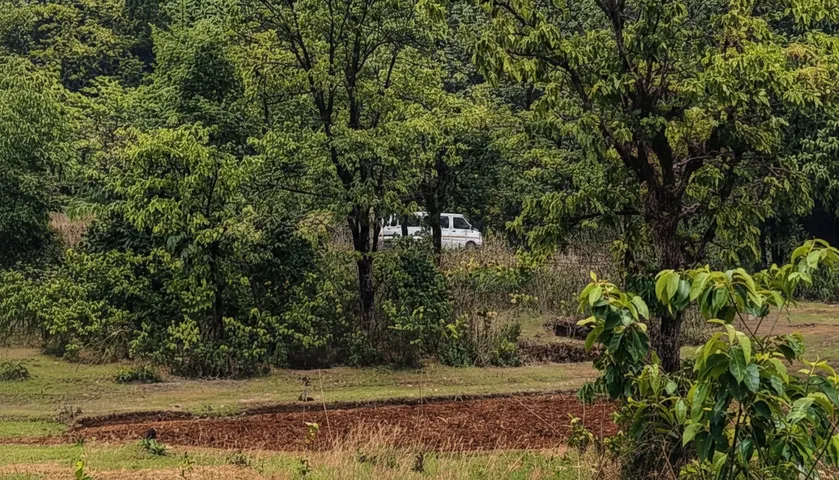 High alert along Odisha border after 15 Maoists, including top leader Anal Da, killed in Jharkhand encounter