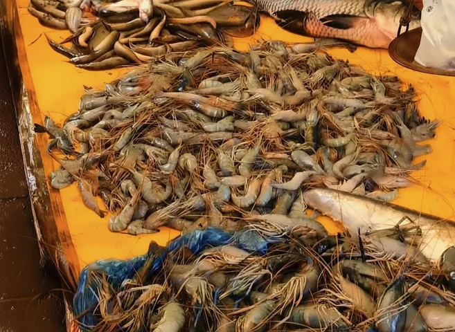 Koraput administration imposes 1 day ban on non-vegetarian food sales on Republic Day