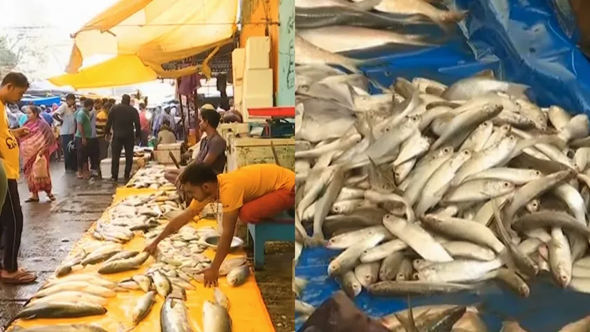 Koraput administration lifts ban on non-vegetarian food sales on Republic Day