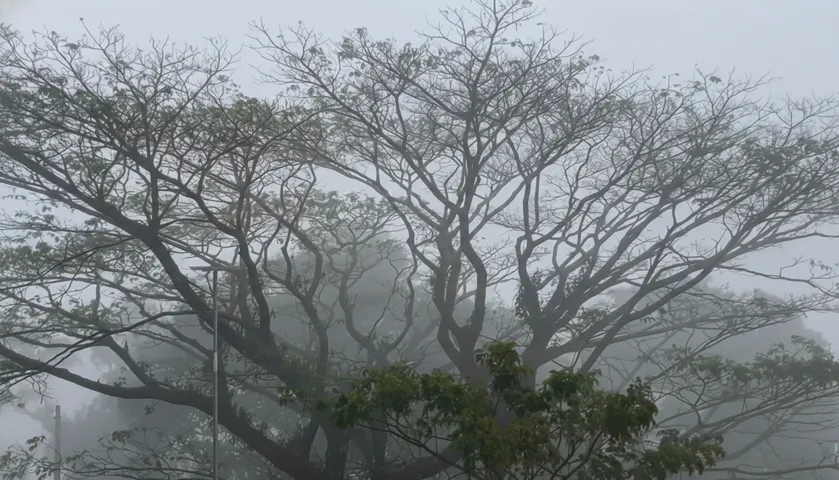 Dense fog causes traffic disruption in Gajapati