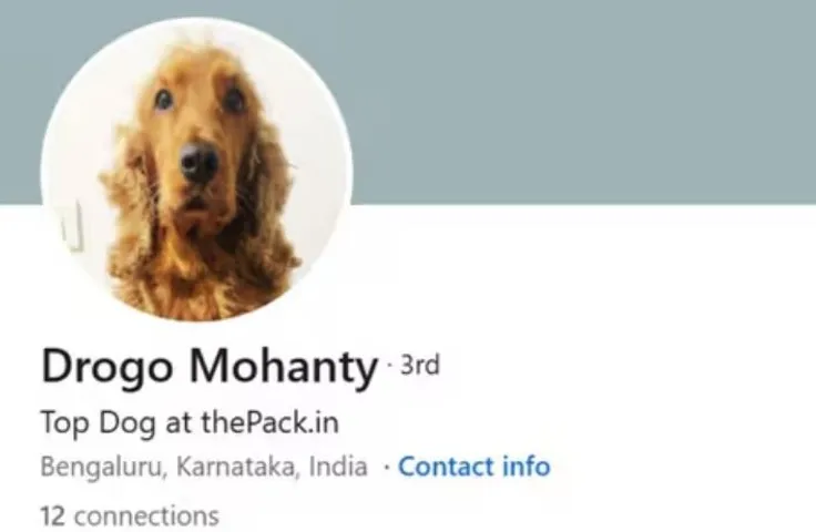 LinkedIn profile
