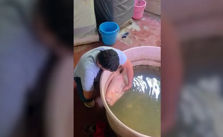 Family mourns pet fish after 20-year bond in Odisha