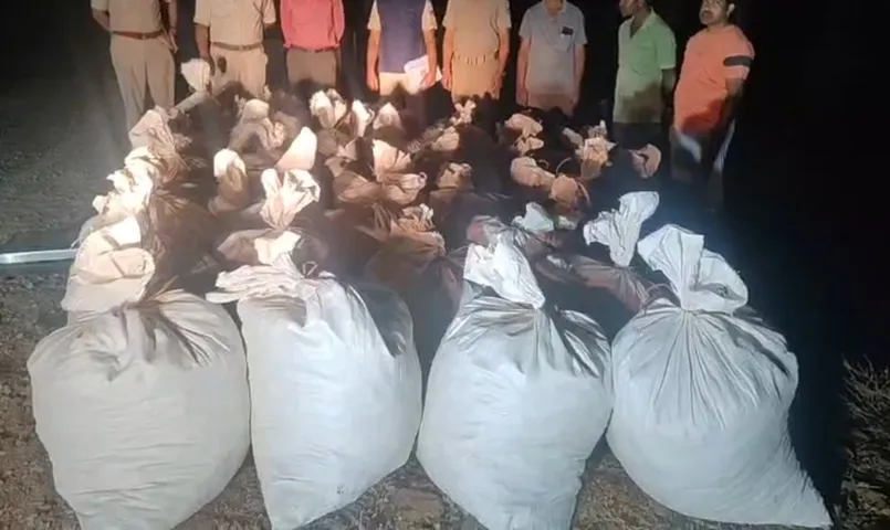 Major drug haul in Malkangiri as ganja worth Rs 1 crore seized by Kalimela Police