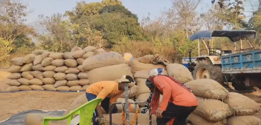 Odisha farmers allege irregularities in paddy procurement at Nayagarh’s Ranpur society