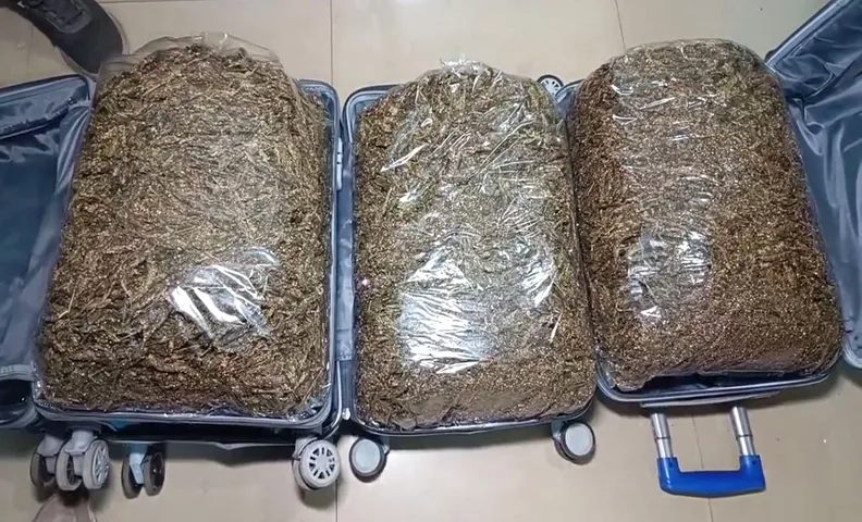 Odisha Police seize 24kg Chennai-bound ganja from train