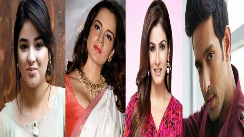 Art 370 Scrapped: Bollywood Stars Sing Modi Sarkar's 'Yeh Kashmir Hai...' Niti