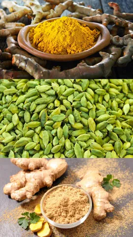 From Turmeric to Ginger: Indian Spices with Powerful Healing Benefits