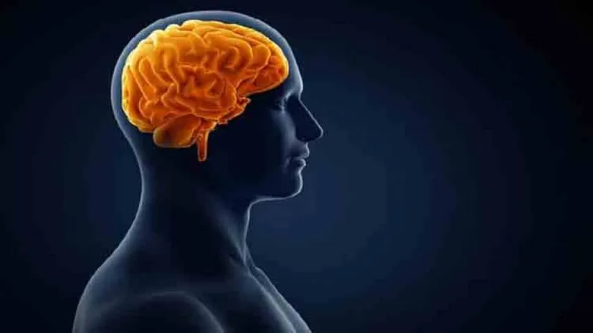 New AI model helps assess brain injury in patients