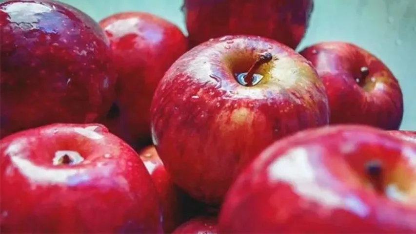 Himachal Apples Economy Comes Under The Weather