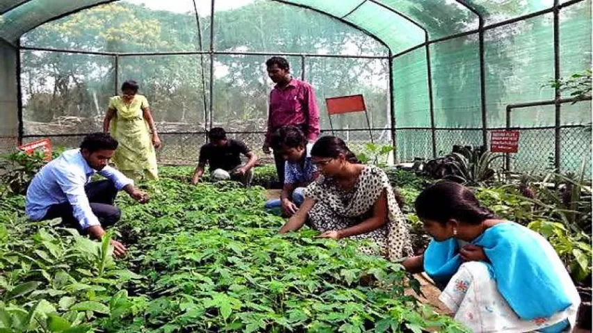 Two MoUs signed to push agri-entrepreneurship in Odisha