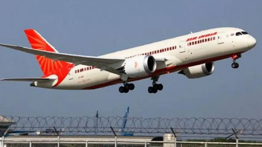 Stray dogs force Air India to abort landing in Goa