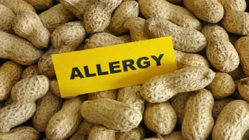 New treatment shows promise against peanut allergy, says study