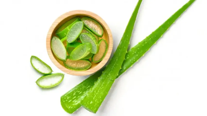 Benefits of Aloe Vera