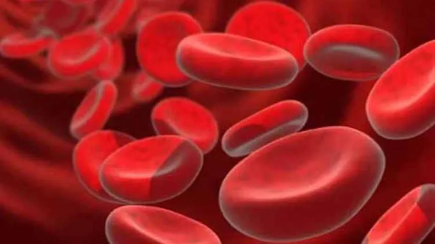 Anaemia a health problem in all states except Kerala