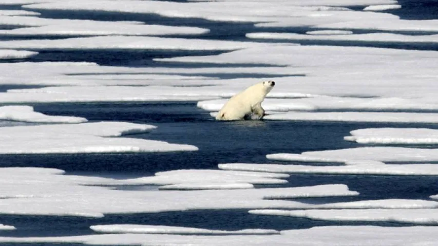 Are Earthquakes To Blame For Arctic Warming?