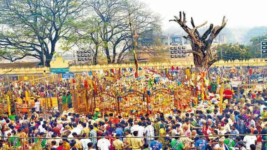 Stage set for Asia's biggest tribal fair in Telangana