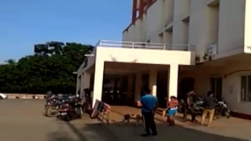 Stray dog feeds on dead infant inside Balasore hospital premises