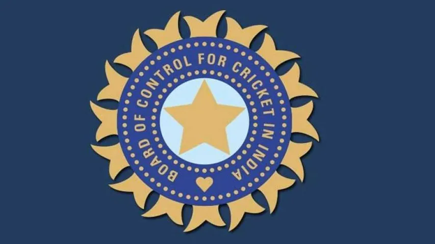 National selectors appoint Nick Webb as India trainer