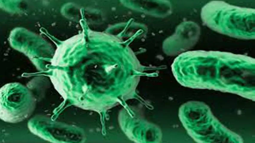 IIT Guwahati builds hand-held device to detect bacteria