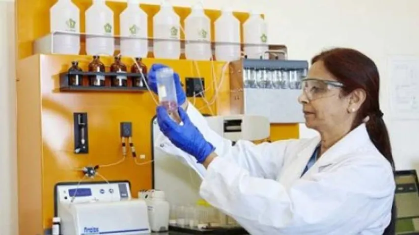 Indian-Origin Researcher Turns Banana Plant Into Packaging Material