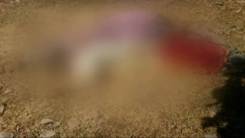 Baripada: Couple crushed to death with stone