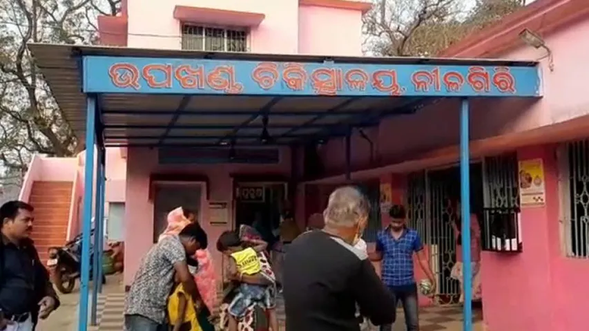 Odisha: Five Including Minor Girl Injured In Bear Attack