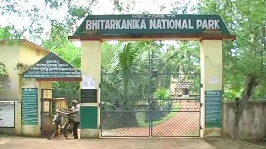 Odisha: Croc Census At Bhitarkanika From Tomorrow, Entry Restricted 