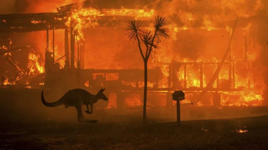 Australian Bushfires: More Frequent, Prolonged, Severe Courtesy Climate Change, Warn Experts