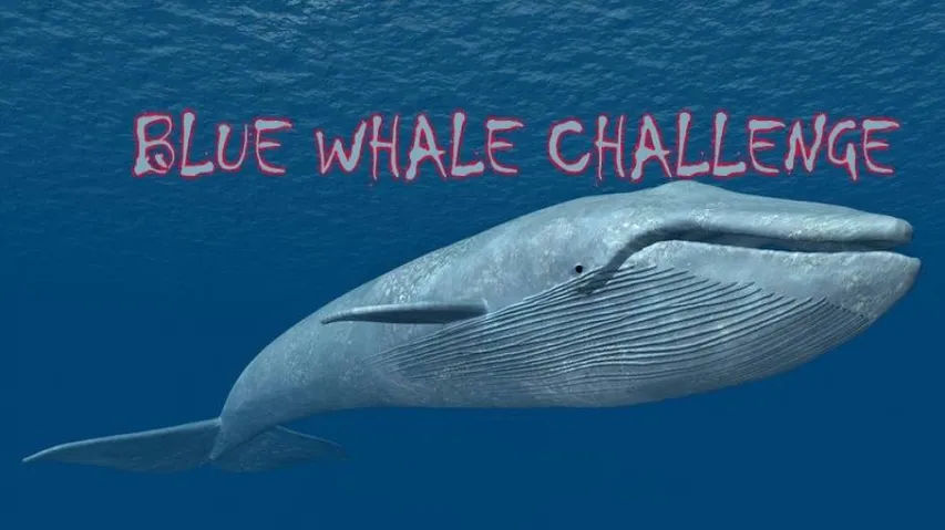Bengal teenager hospitalised after playing Blue Whale Challenge