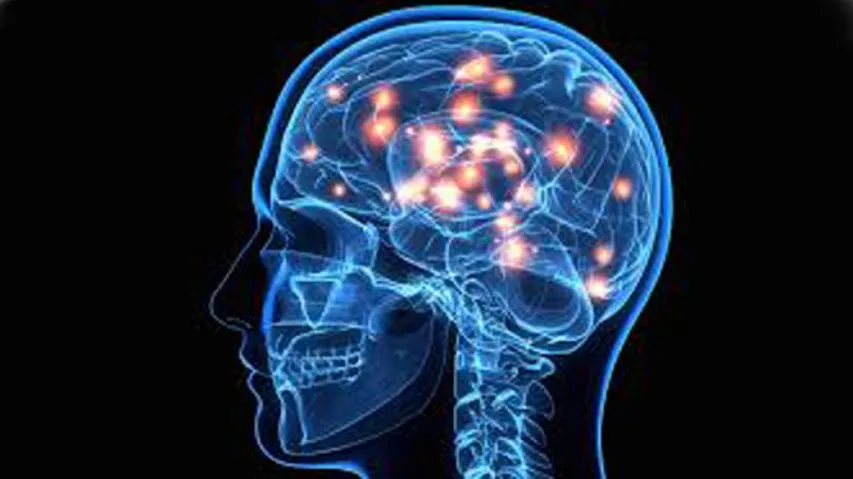 Air Pollution Can Pose Serious Threat To Brain Health
