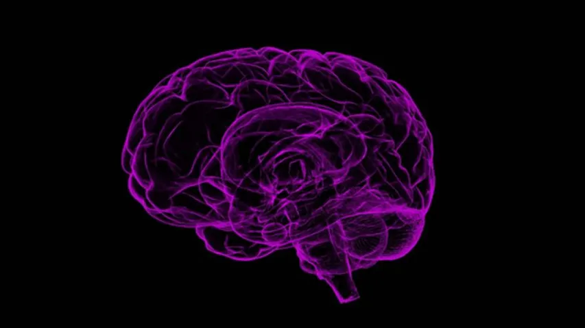 COVID-19 Can Cause Delirium, Brain Inflammation