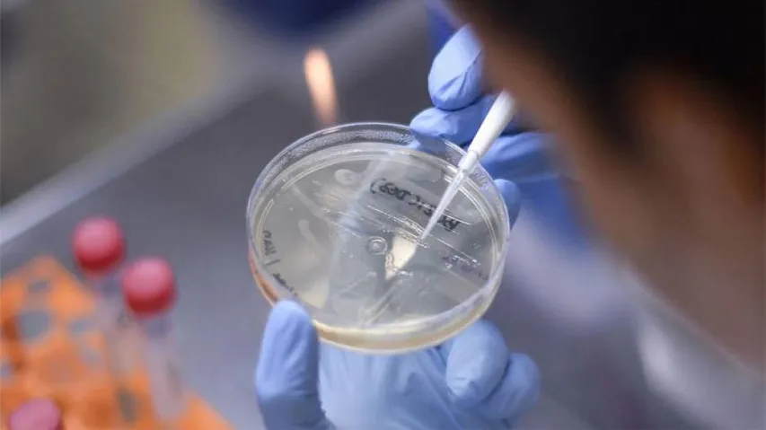 'Some COVID Mutations May Help It Evade Immune System's T-Killer Cells'