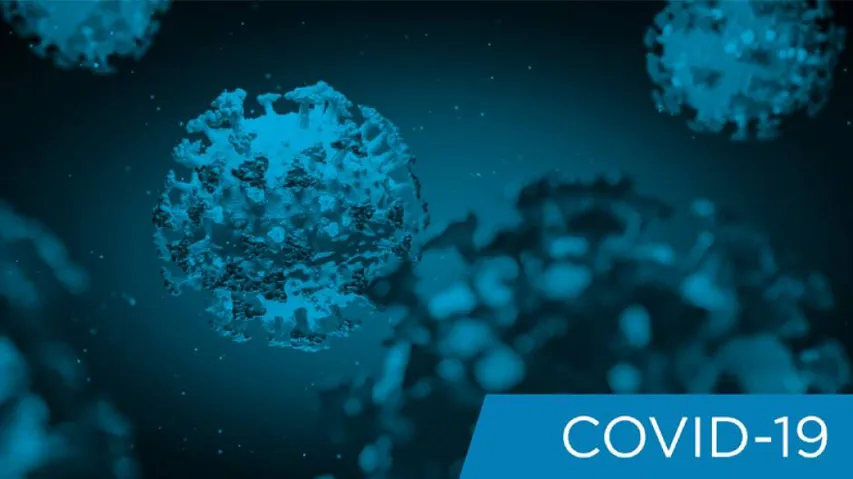 Global COVID19 Cases Exceed 23.5 Million, Death Tally Crosses 811K