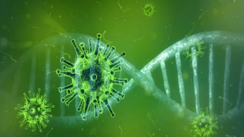 Covid Virus To Stay With Us For Next 10 Years: BioNTech CEO