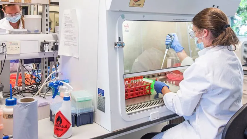 Researchers Discover Technique To Increase Effectiveness Of COVID Vaccines