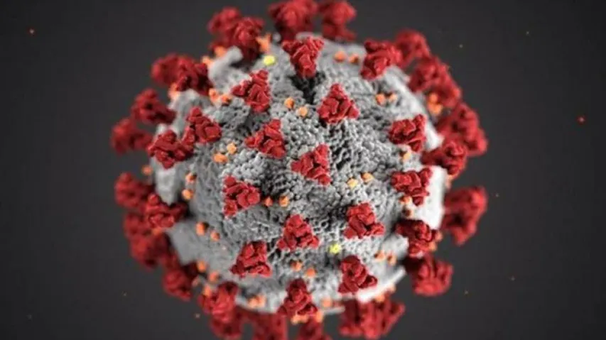 Covid-19 Virus Mutation May Have Made It More Contagious