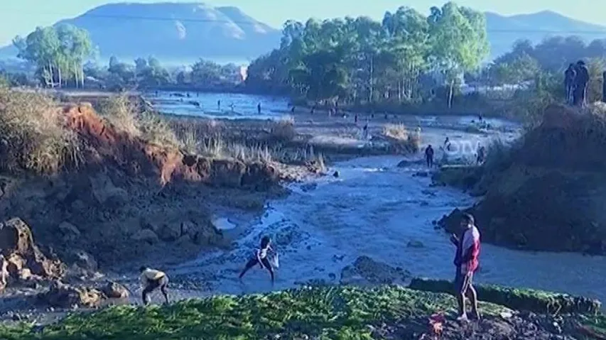 Odisha: Major Breach In Canal At Jeypore Devastates Acres Of Paddy Field (Watch)