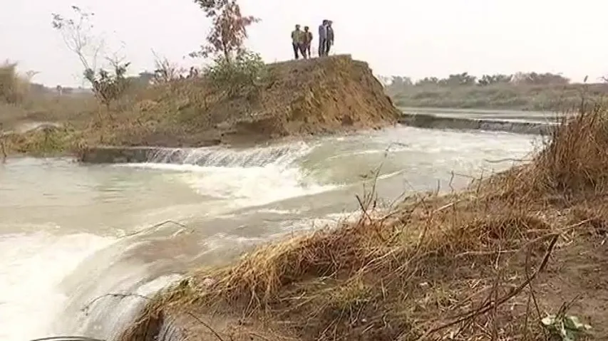 Farm lands in Sambalpur inundated after breach in canal embankment