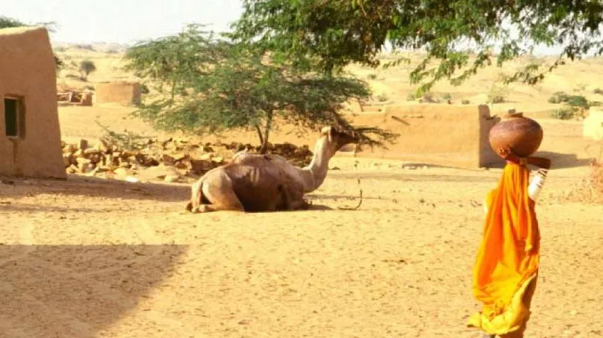 Heatwave Intensifies, Churu In Rajasthan Sizzles At 50-Degree Celsius