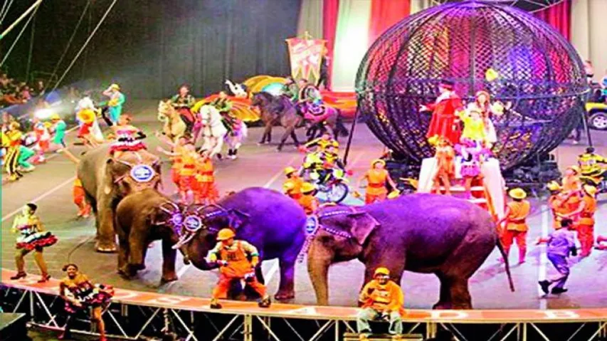 Circus On The Verge Of Extinction Due To Coronavirus Spread