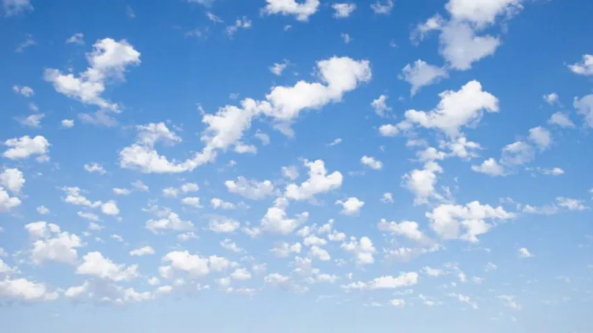 COVID-19 lockdowns significantly impacting global air quality: Study