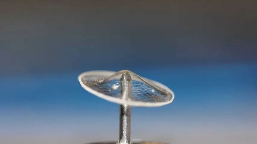 Australian researchers use silkworms to repair damaged eardrums