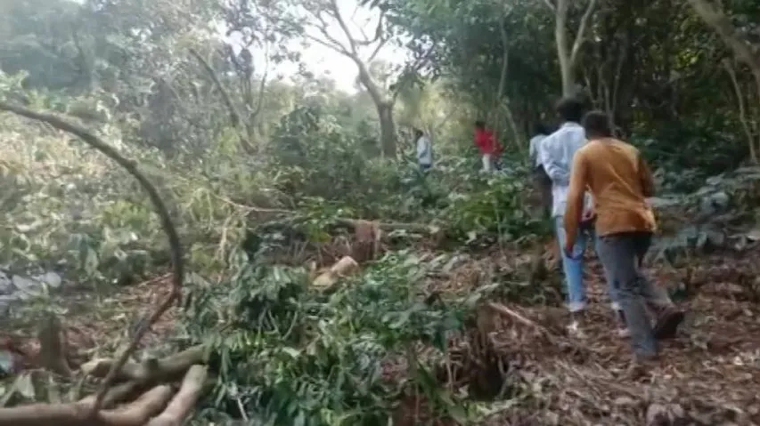 New Twist To Border Disputes: AP Residents Blame Odisha Villagers Of Destroying Coffee Plantation