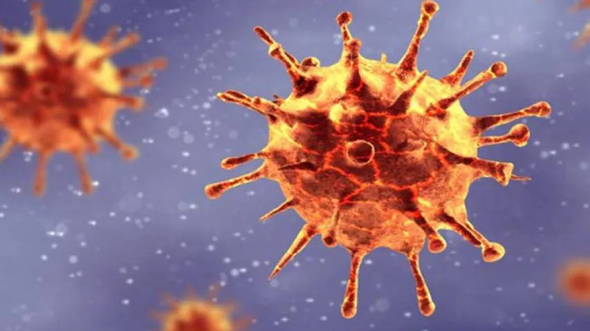 COVID-19 Tentacles Reach Balasore, Odisha Begins Rapid Antibody Testing In Capital City Bhubaneswar