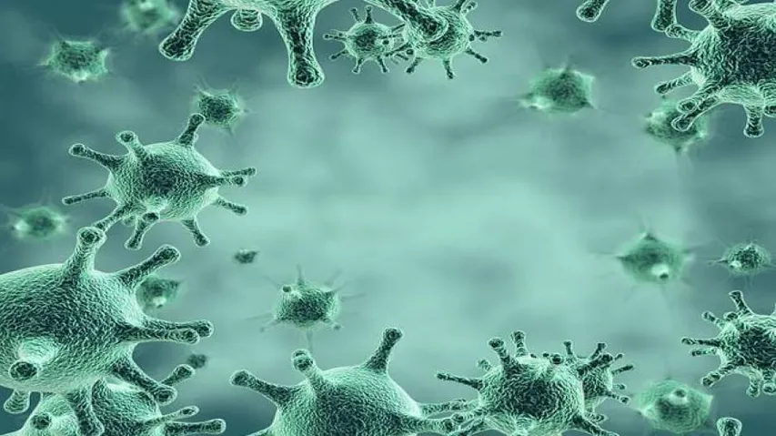 Coronavirus Live Updates: Odisha Launches Portal To Register Returnees From Outside