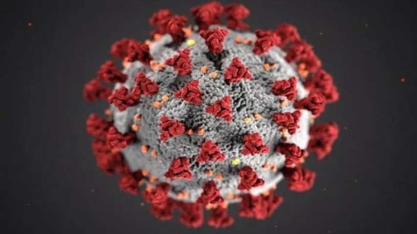 Coronavirus death toll rises to 19, positive cases cross 800 in India