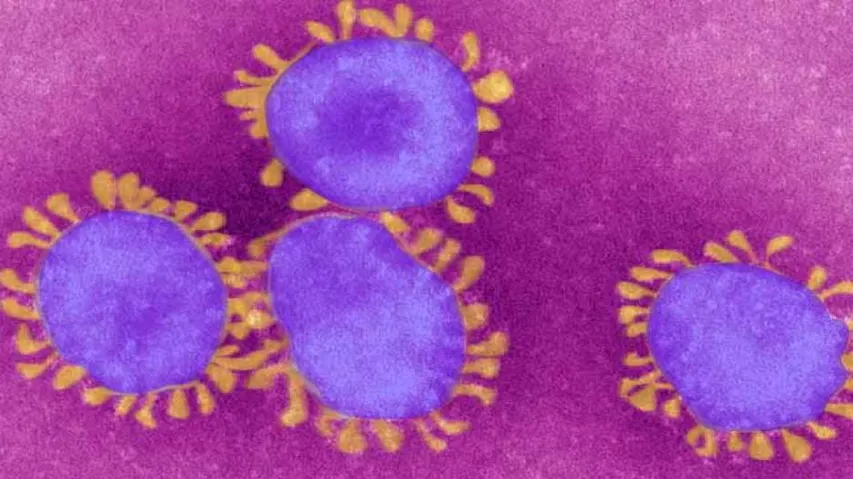 COVID19: ICMR Bats For Oxford Vaccine, WHO Lists 3 More As Frontrunners