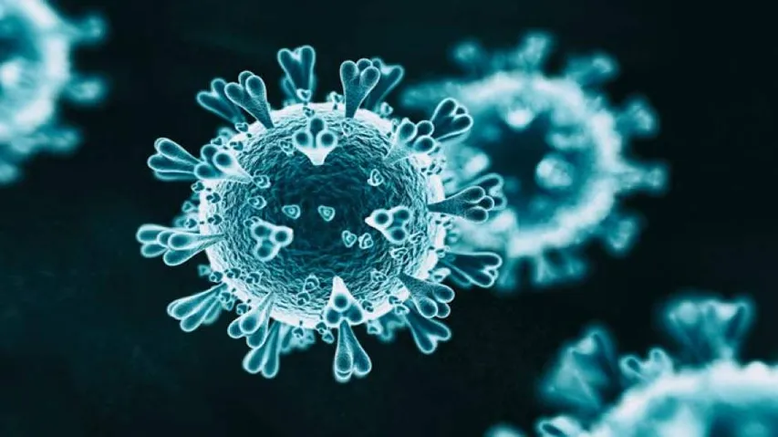 India records over 4K COVID cases in a day, total cases touch 67152