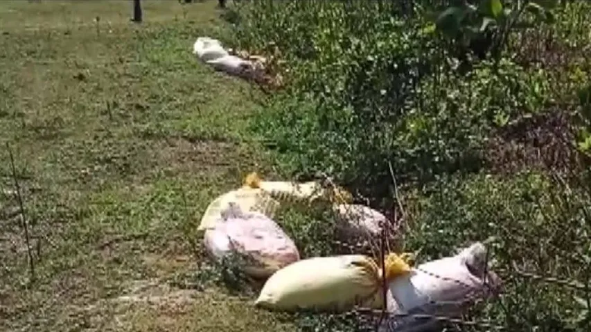 41 Crude Bombs Recovered From Bengal's South 24 Parganas