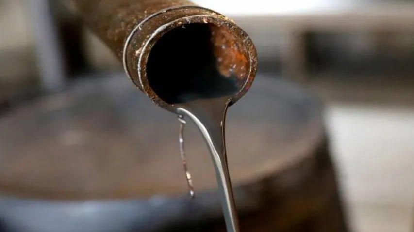 India faces challenge to replace Iran oil: Report